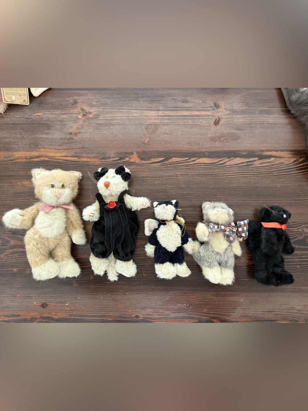 Boyds Bears Plush Cats Lot of 5- Beige, Black, White, Gray